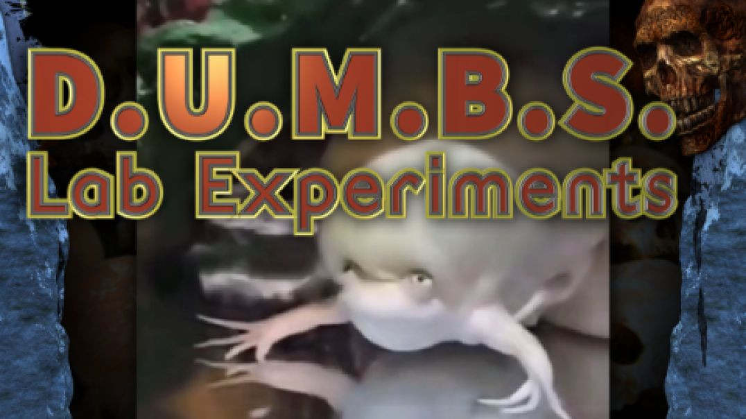 DUMBS Lab Experiments – GMO & the JABBED Babies - Draconian Children & VRIL Worms