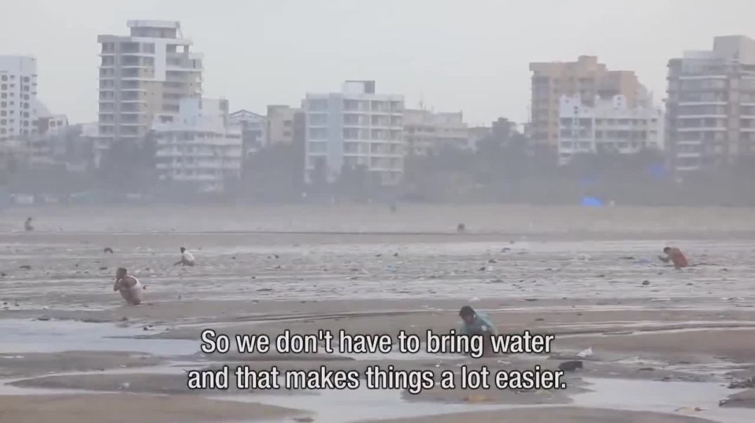 It's Normal to Poop on the Beach